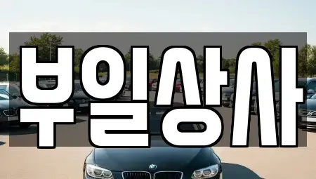 인천 강화군 강화읍 중고차매매 전문 부일상사