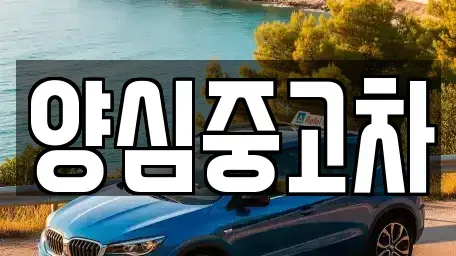 인천 남동구 도림동 중고차,렌트카,중고차매입,중고차매매,장기렌트카,단기렌트카
