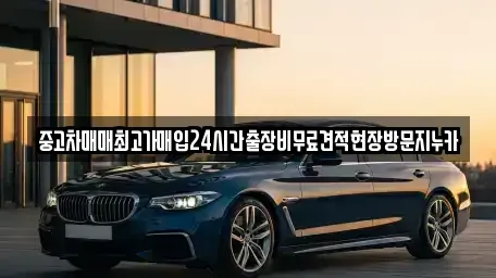 인천 남동구 도림동 중고차 전문 중고차매매최고가매입24시간출장비무료견적현장방문지누카