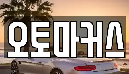 인천 남동구 만수동 렌트카 전문 오토마커스