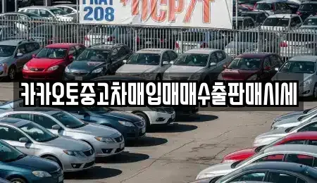 인천 동구 금곡동 중고차매입 전문 카카오토중고차매입매매수출판매시세