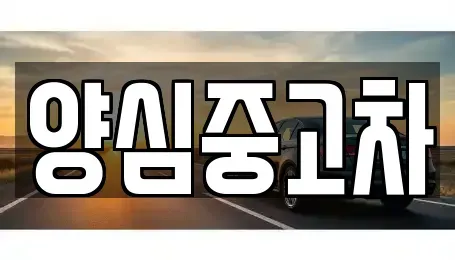 인천 서구 당하동 중고차 전문 양심중고차