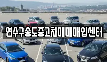 인천 연수구 중고차 전문 연수구송도중고차매매매입센터