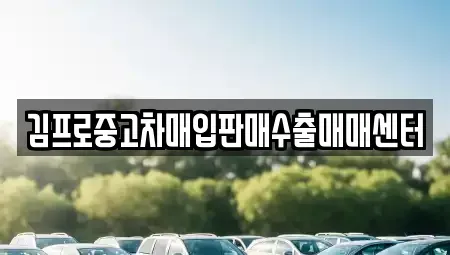 인천 연수구 중고차매입 전문 김프로중고차매입판매수출매매센터