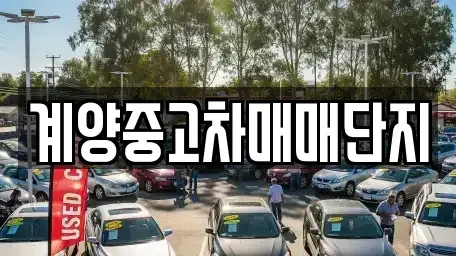 인천광역시 계양구 계산동 중고차 전문 계양중고차매매단지