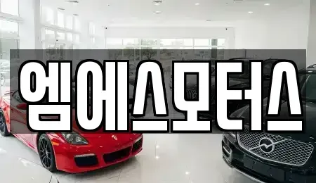 인천광역시 계양구 계산동 중고차 전문 엠에스모터스