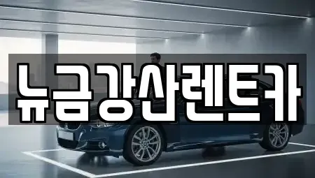 인천광역시 계양구 상야동 렌트카 전문 뉴금강산렌트카