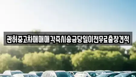 인천광역시 계양구 상야동 중고차매매 전문 관허중고차매매매각즉시송금당일이전무료출장견적