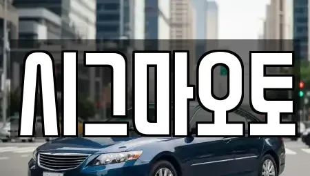 인천광역시 부평구 부개동 단기렌트카 전문 시그마오토