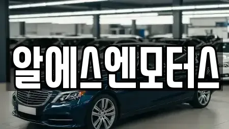 인천광역시 부평구 부개동 렌트카 전문 알에스엔모터스