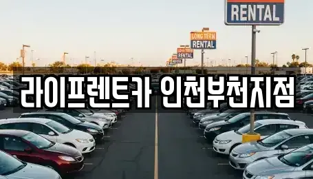 인천광역시 부평구 부개동 장기렌트카 전문 라이프렌트카 인천부천지점