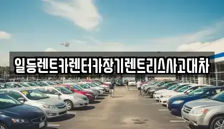 인천광역시 중구 덕교동 장기렌트카 전문 일등렌트카렌터카장기렌트리스사고대차