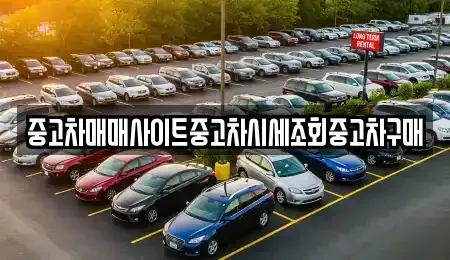 인천광역시 중구 덕교동 중고차매매 전문 중고차매매사이트중고차시세조회중고차구매