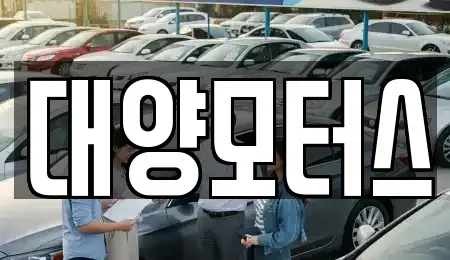 전남 강진군 대구면 중고차매매 전문 대양모터스