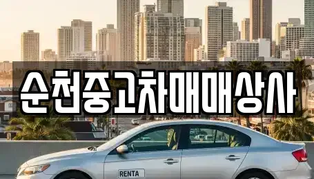 전남 고흥군 도덕면 렌트카,단기렌트카,장기렌트카,중고차,중고차매매,중고차매입