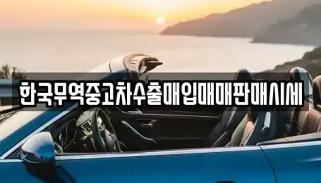 전남 고흥군 도덕면 중고차매매 전문 한국무역중고차수출매입매매판매시세