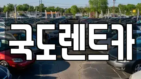 전남 광양시 광양읍 렌트카 전문 국도렌트카