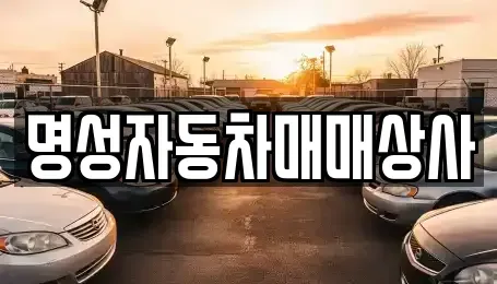 전남 광양시 광양읍 중고차 전문 명성자동차매매상사