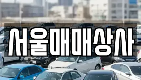 전남 광양시 진상면 중고차매매 전문 서울매매상사