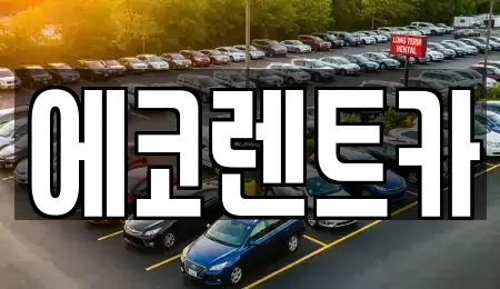 전남 담양군 가사문학면 렌트카,단기렌트카,장기렌트카,중고차,중고차매매,중고차매입