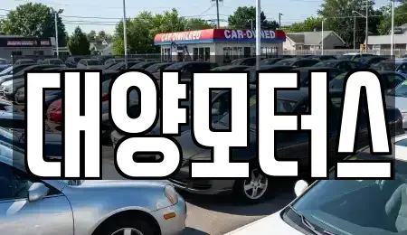 전남 담양군 가사문학면 중고차매매 전문 대양모터스