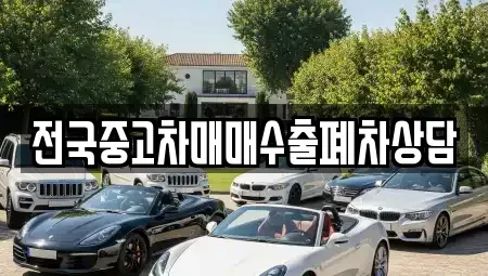 전남 목포시 대성동 중고차매매 전문 전국중고차매매수출폐차상담