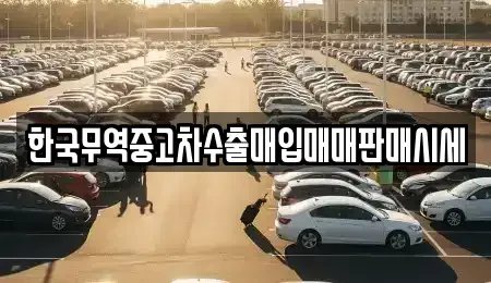 전남 목포시 대성동 중고차매입 전문 한국무역중고차수출매입매매판매시세