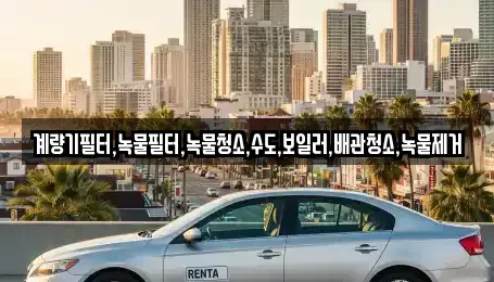 전남 순천시 서면 렌트카 전문 계량기필터,녹물필터,녹물청소,수도,보일러,배관청소,녹물제거
