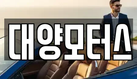 전남 순천시 서면 중고차매매 전문 대양모터스