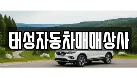 전남 순천시 인제동 중고차매매 전문 태성자동차매매상사