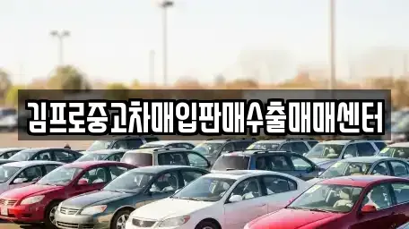 전남 순천시 인제동 중고차매입 전문 김프로중고차매입판매수출매매센터