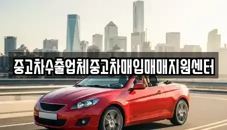 전남 순천시 조례동 중고차매입 전문 중고차수출업체중고차매입매매지원센터