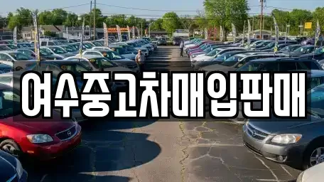 전남 여수시 낙포동 중고차매매,단기렌트카,중고차매입,장기렌트카,중고차,렌트카