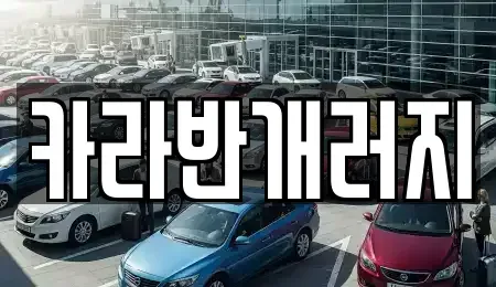 전남 장성군 황룡면 중고차 전문 카라반개러지