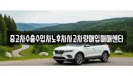 전남 장성군 황룡면 중고차매입 전문 중고차수출수입차노후차사고차량매입매매센타