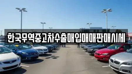 전남 장성군 황룡면 중고차매입 전문 한국무역중고차수출매입매매판매시세