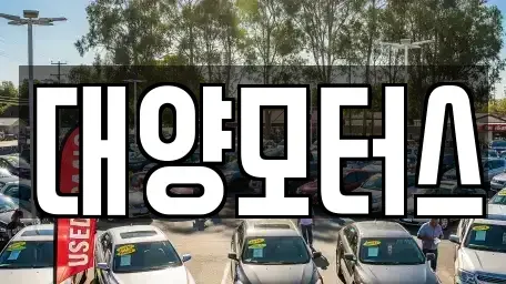 전남 장흥군 안양면 중고차매매 전문 대양모터스