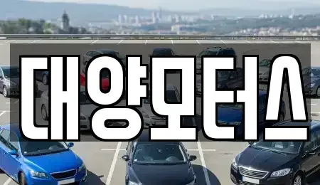 전남 장흥군 회진면 단기렌트카,중고차매입,중고차매매,중고차,렌트카,장기렌트카