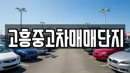 전라남도 고흥군 고흥읍 중고차매매 전문 고흥중고차매매단지