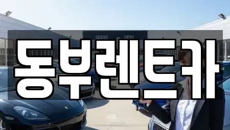 전라남도 광양시 광양읍 렌트카 전문 동부렌트카