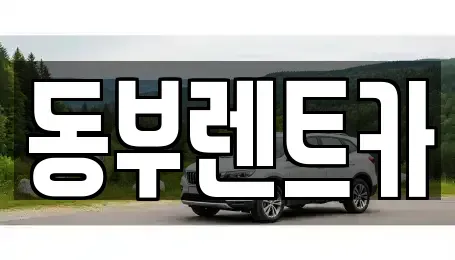 전라남도 완도군 신지면 렌트카 전문 동부렌트카