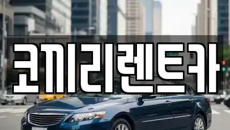 전라남도 완도군 신지면 렌트카 전문 코끼리렌트카