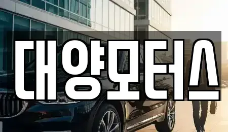 전라남도 완도군 신지면 중고차매매 전문 대양모터스