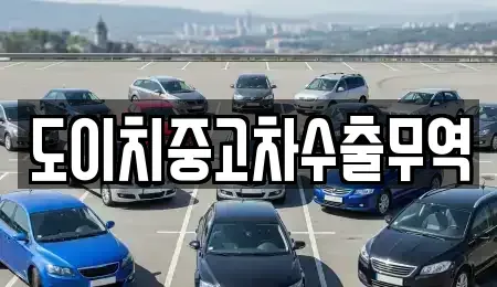 전라남도 완도군 신지면 중고차매매 전문 도이치중고차수출무역