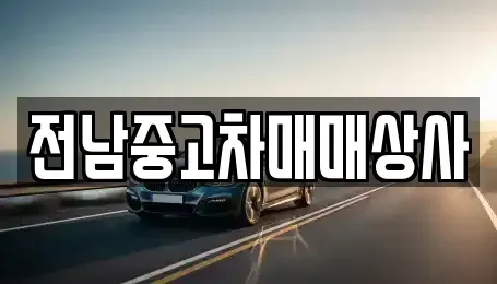전라남도 함평군 손불면 중고차 전문 전남중고차매매상사
