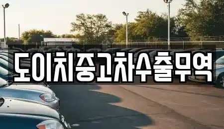전북 군산시 신풍동 중고차매매 전문 도이치중고차수출무역