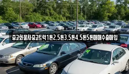 전북 군산시 신풍동 중고차매매 전문 중고화물차중고트럭1톤2.5톤3.5톤4.5톤5톤매매수출매입