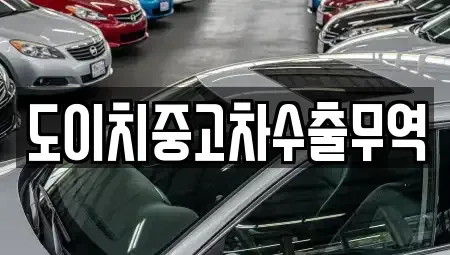 전북 군산시 중앙로2가 중고차 전문 도이치중고차수출무역
