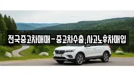 전북 남원시 내척동 중고차매입 전문 전국중고차매매-중고차수출,사고노후차매입