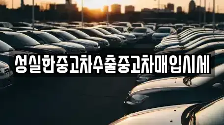 전북 전주시 덕진구 우아동1가 중고차 전문 성실한중고차수출중고차매입시세